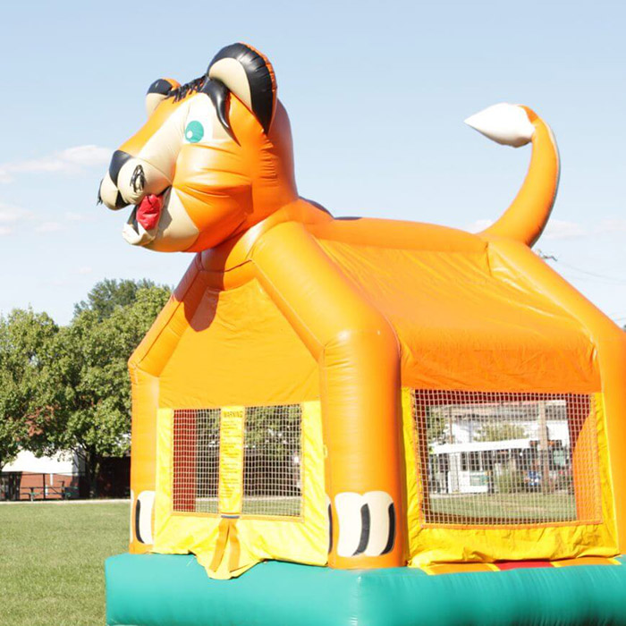 Cat Bounce House