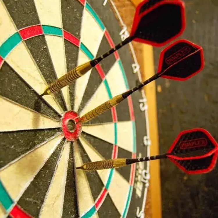 Dart Board